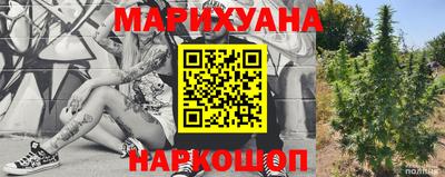 ALPHA PVP Малгобек